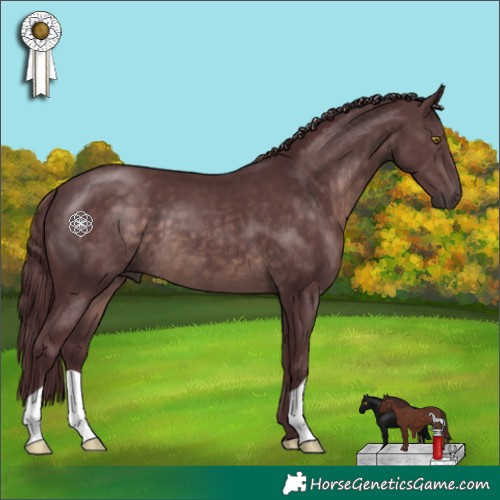 Horse Color:Platinum Chocolate Brown 