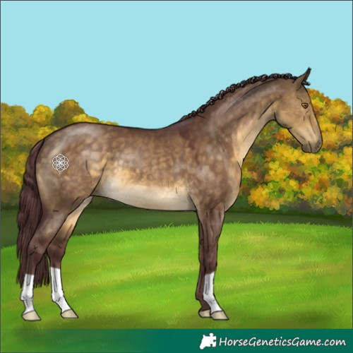 Horse Color:Chocolate Buckskin Dun 