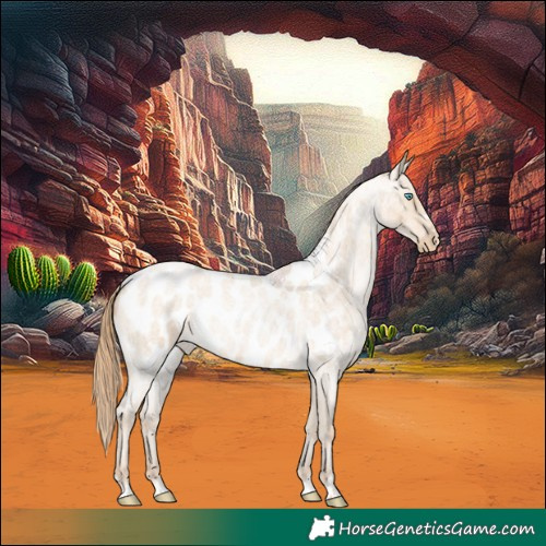 Horse Color:Buckskin Roan Pearl Blanket