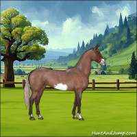 Horse Color:Silver Brown Roan Frame 