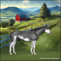 Horse Color:Blue Roan Splash Frame