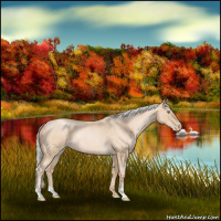 Horse Color:Silver Buckskin Roan Pearl 