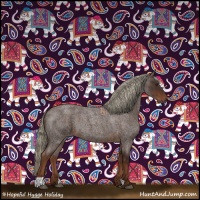 Horse Color:Liver Red Roan 