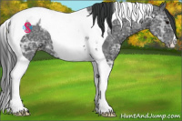 Horse Color:Black Ice Tobiano Appaloosa 