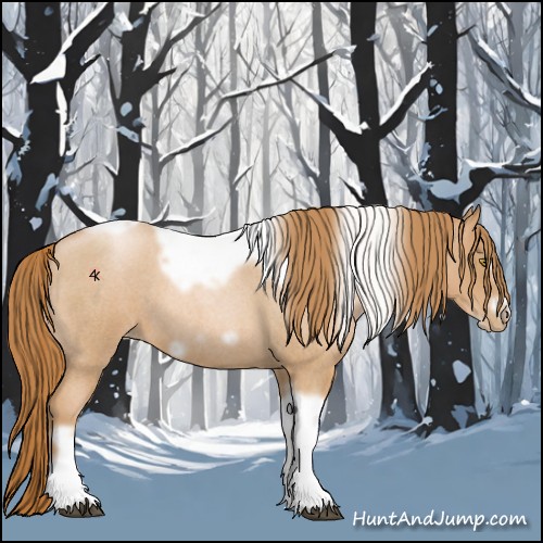 Horse Color:Red Roan Pearl Tobiano Frame