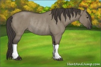 Horse Color:Smoky Grullo Roan Rabicano 