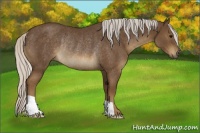Horse Color:Silver Smoky Black Rabicano