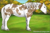 Horse Color:White Spotted Silver Smoky Black Splash Rabicano