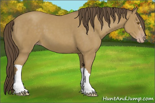 Horse Color:Classic Cream Champagne 