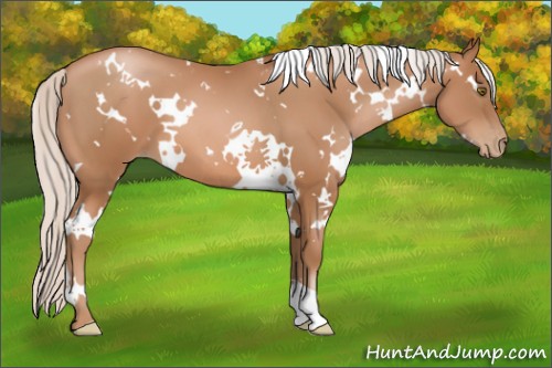 Horse Color:White Spotted Silver Bay Pearl 