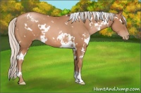 Horse Color:White Spotted Silver Bay Pearl