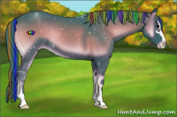 Horse Color:Painted Watercolor Blue Onyx Sabino 