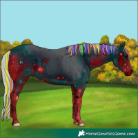 Horse Color:ERROR: UNKNOWN ANOMALY