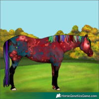 Horse Color:ERROR: UNKNOWN ANOMALY