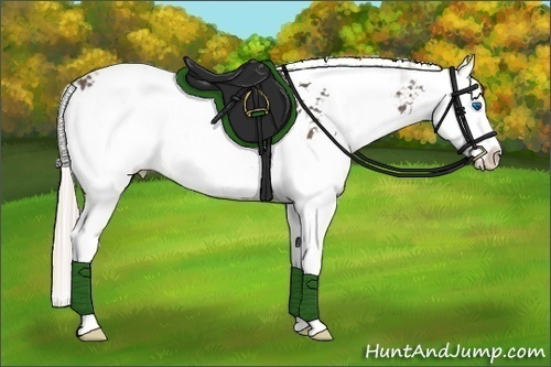 Horse Color:Silver Black Sabino Splash 