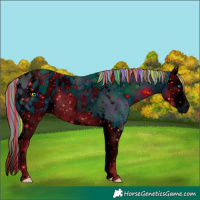Horse Color:ERROR: UNKNOWN ANOMALY