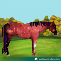 Horse Color:ERROR: UNKNOWN ANOMALY