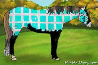 Horse Color:Plaid  Buckskin Ice Roan Splash 