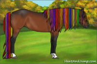 Horse Color:Gray Painted Bay 