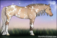 Horse Color:White Spotted Silver Brown Dun 