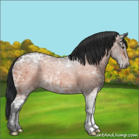Horse Color:Bay Ice 