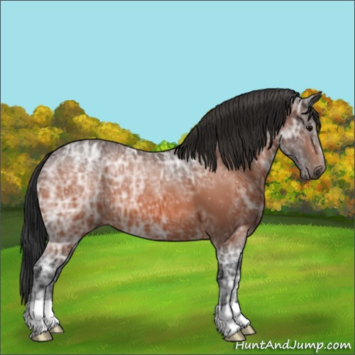 Horse Color:Bay Ice