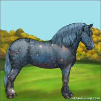 Horse Color:ERROR: UNKNOWN ANOMALY