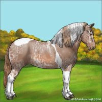Horse Color:Chestnut Ice Tobiano Rabicano