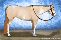 Horse Color:Brown Pearl Dun Sabino