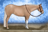 Horse Color:Silver Black Pearl