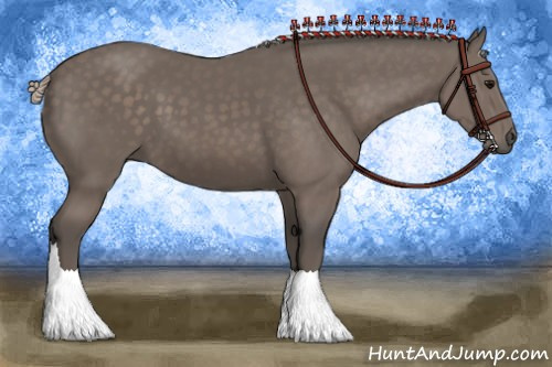 Horse Color:Silver Black