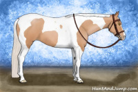 Horse Color:Silver Brown Pearl Tobiano 