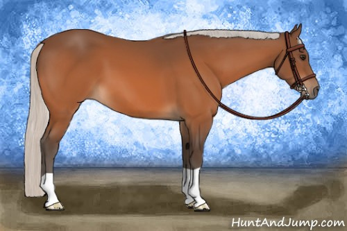 Horse Color:Silver Bay 