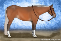 Horse Color:Silver Bay 