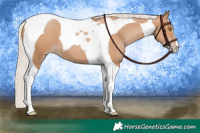 Horse Color:Silver Black Pearl Tobiano