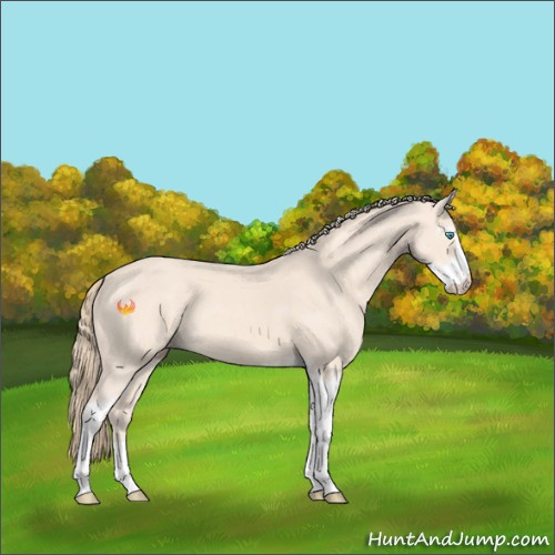 Horse Color:Perlino Sabino 