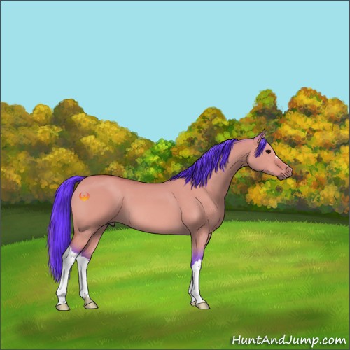 Horse Color:Watercolor Bay Dun 