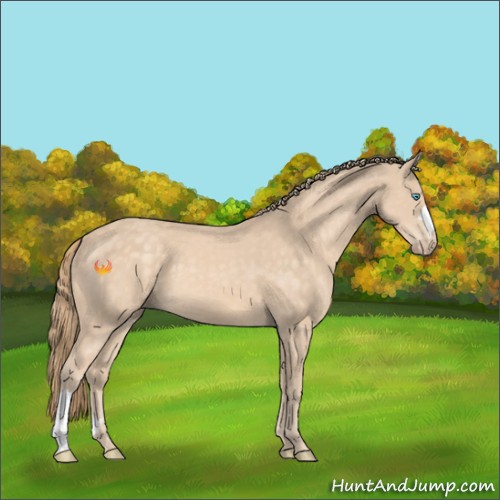 Horse Color:Perlino 
