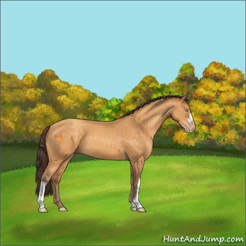 Horse Color:Sable Cream Champagne 