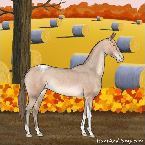 Horse Color:Amber Champagne Tobiano Varnish 