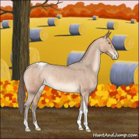 Horse Color:Amber Champagne Tobiano Varnish 