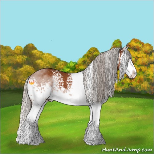 Horse Color:White Spotted Silver Buckskin Sabino Splash 
