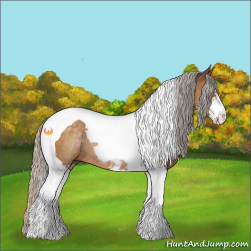 Horse Color:Silver Buckskin Sabino Tobiano Rabicano 