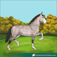 Horse Color:Platinum Bay Dun Brindle 