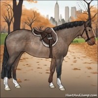 Horse Color:Brown Dun Rabicano 
