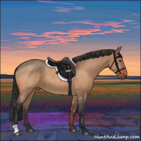 Horse Color:Brown Dun Rabicano