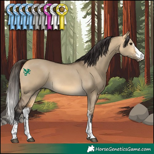 Horse Color:Buckskin Dun Sabino