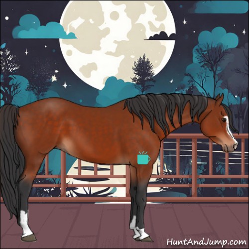 Horse Color:Brown Sabino 