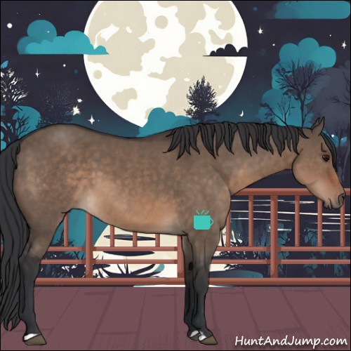 Horse Color:Brown Dun 