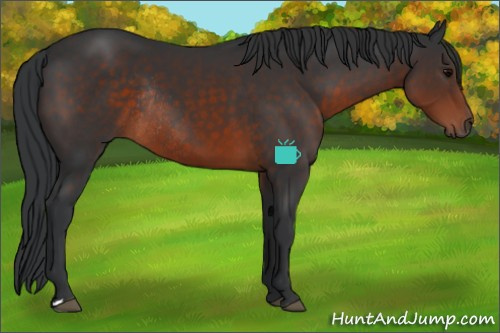 Horse Color:Brown Rabicano 
